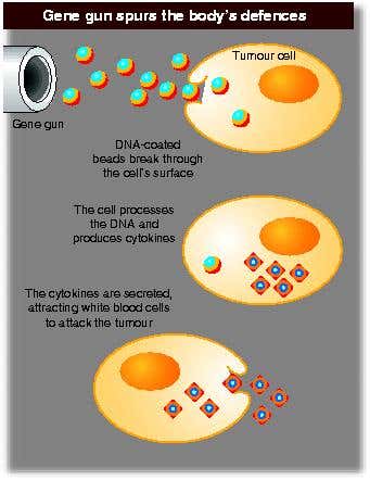 New Scientist. Science news and long reads from expert journalists, covering developments in science, technology, health and the environment on the website and the magazine.