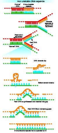 New Scientist. Science news and long reads from expert journalists, covering developments in science, technology, health and the environment on the website and the magazine.