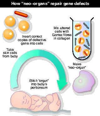 New Scientist. Science news and long reads from expert journalists, covering developments in science, technology, health and the environment on the website and the magazine.