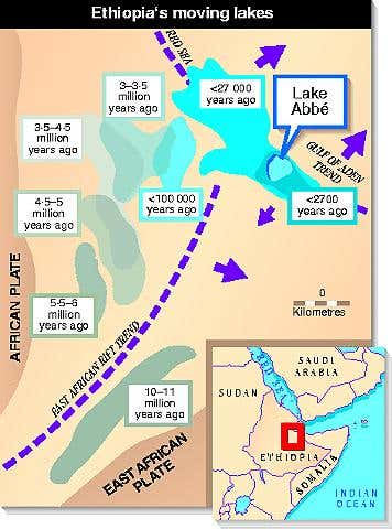 New Scientist. Science news and long reads from expert journalists, covering developments in science, technology, health and the environment on the website and the magazine.