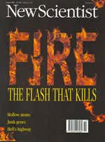 New Scientist issue 1980 cover