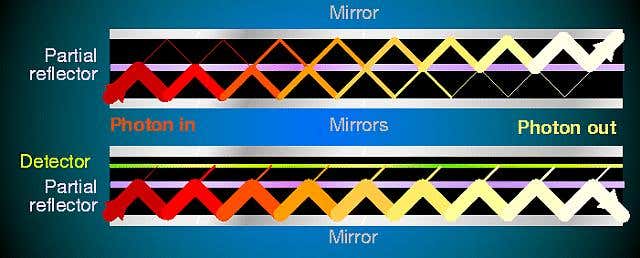 New Scientist. Science news and long reads from expert journalists, covering developments in science, technology, health and the environment on the website and the magazine.