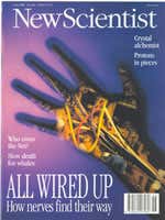 New Scientist issue 1984 cover