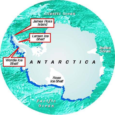 New Scientist. Science news and long reads from expert journalists, covering developments in science, technology, health and the environment on the website and the magazine.