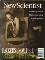 New Scientist issue 1993 cover