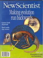 New Scientist issue 2001 cover