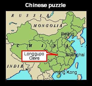 New Scientist. Science news and long reads from expert journalists, covering developments in science, technology, health and the environment on the website and the magazine.