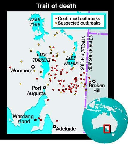 New Scientist. Science news and long reads from expert journalists, covering developments in science, technology, health and the environment on the website and the magazine.