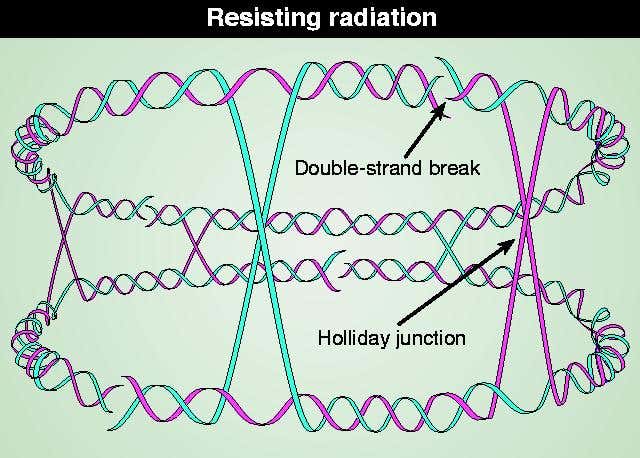 New Scientist. Science news and long reads from expert journalists, covering developments in science, technology, health and the environment on the website and the magazine.