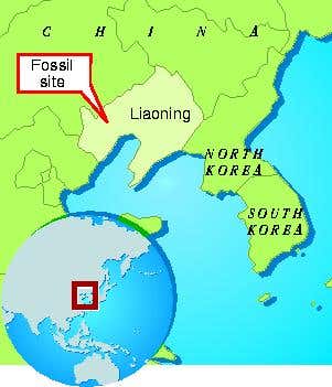 New Scientist. Science news and long reads from expert journalists, covering developments in science, technology, health and the environment on the website and the magazine.