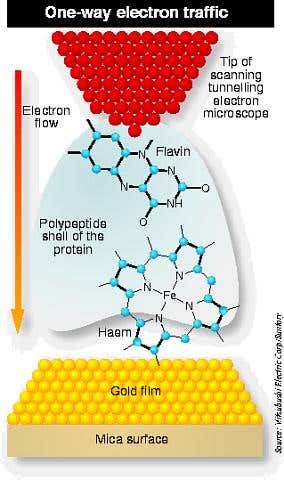 New Scientist. Science news and long reads from expert journalists, covering developments in science, technology, health and the environment on the website and the magazine.
