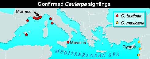 New Scientist. Science news and long reads from expert journalists, covering developments in science, technology, health and the environment on the website and the magazine.