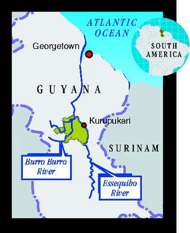 New Scientist. Science news and long reads from expert journalists, covering developments in science, technology, health and the environment on the website and the magazine.