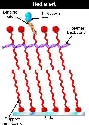 New Scientist. Science news and long reads from expert journalists, covering developments in science, technology, health and the environment on the website and the magazine.