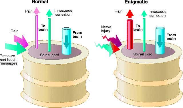 New Scientist. Science news and long reads from expert journalists, covering developments in science, technology, health and the environment on the website and the magazine.