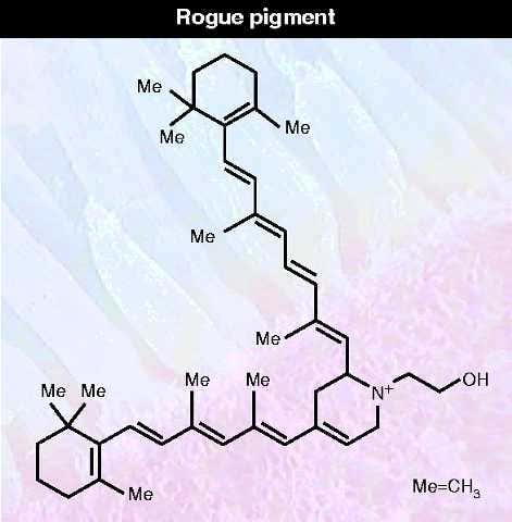 New Scientist. Science news and long reads from expert journalists, covering developments in science, technology, health and the environment on the website and the magazine.