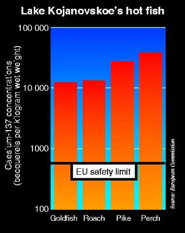 New Scientist. Science news and long reads from expert journalists, covering developments in science, technology, health and the environment on the website and the magazine.