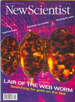 New Scientist issue 2024 cover