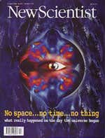 New Scientist issue 2027 cover