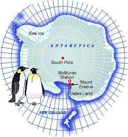 New Scientist. Science news and long reads from expert journalists, covering developments in science, technology, health and the environment on the website and the magazine.