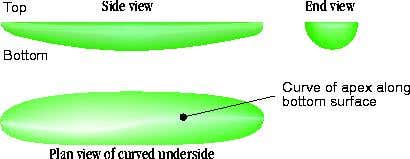 New Scientist. Science news and long reads from expert journalists, covering developments in science, technology, health and the environment on the website and the magazine.