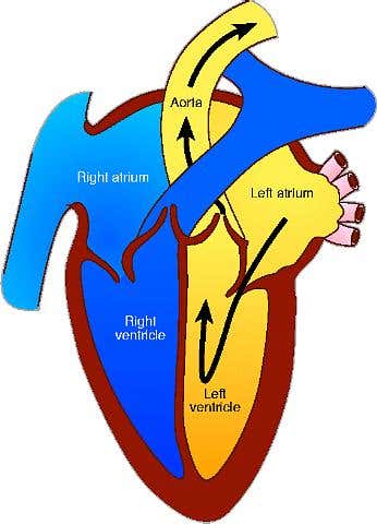 New Scientist. Science news and long reads from expert journalists, covering developments in science, technology, health and the environment on the website and the magazine.
