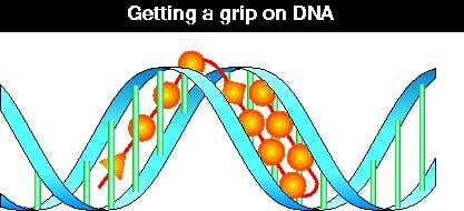 New Scientist. Science news and long reads from expert journalists, covering developments in science, technology, health and the environment on the website and the magazine.