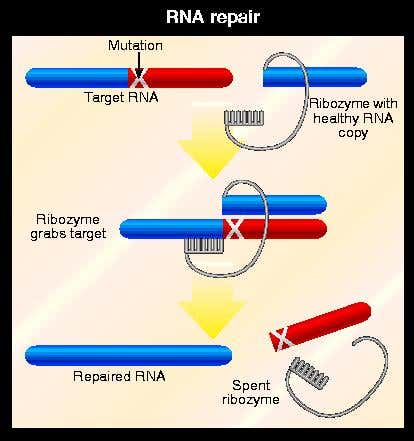 New Scientist. Science news and long reads from expert journalists, covering developments in science, technology, health and the environment on the website and the magazine.