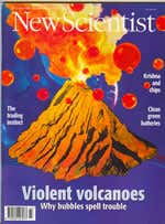 New Scientist issue 2053 cover