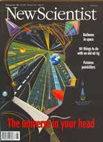 New Scientist issue 2058 cover