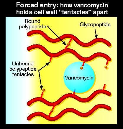 New Scientist. Science news and long reads from expert journalists, covering developments in science, technology, health and the environment on the website and the magazine.