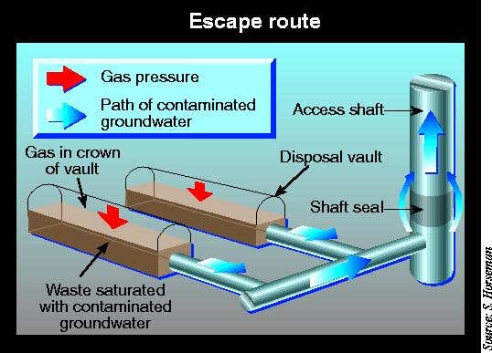 New Scientist. Science news and long reads from expert journalists, covering developments in science, technology, health and the environment on the website and the magazine.