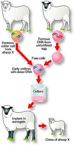 New Scientist. Science news and long reads from expert journalists, covering developments in science, technology, health and the environment on the website and the magazine.