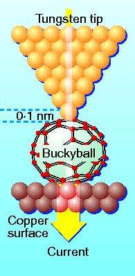 New Scientist. Science news and long reads from expert journalists, covering developments in science, technology, health and the environment on the website and the magazine.