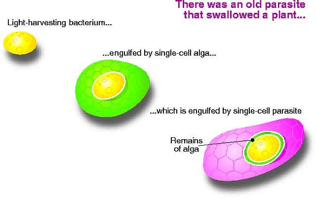 New Scientist. Science news and long reads from expert journalists, covering developments in science, technology, health and the environment on the website and the magazine.