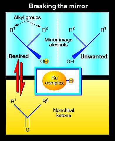 New Scientist. Science news and long reads from expert journalists, covering developments in science, technology, health and the environment on the website and the magazine.