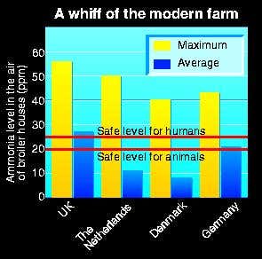New Scientist. Science news and long reads from expert journalists, covering developments in science, technology, health and the environment on the website and the magazine.