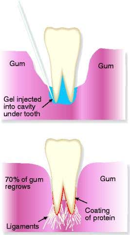 New Scientist. Science news and long reads from expert journalists, covering developments in science, technology, health and the environment on the website and the magazine.