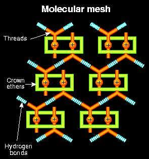 New Scientist. Science news and long reads from expert journalists, covering developments in science, technology, health and the environment on the website and the magazine.
