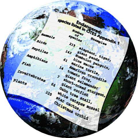 New Scientist. Science news and long reads from expert journalists, covering developments in science, technology, health and the environment on the website and the magazine.