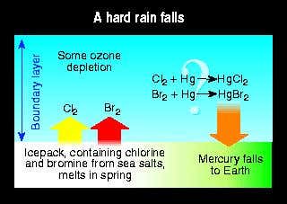 New Scientist. Science news and long reads from expert journalists, covering developments in science, technology, health and the environment on the website and the magazine.