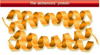 New Scientist. Science news and long reads from expert journalists, covering developments in science, technology, health and the environment on the website and the magazine.