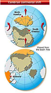 New Scientist. Science news and long reads from expert journalists, covering developments in science, technology, health and the environment on the website and the magazine.