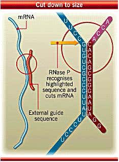 New Scientist. Science news and long reads from expert journalists, covering developments in science, technology, health and the environment on the website and the magazine.