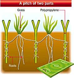 New Scientist. Science news and long reads from expert journalists, covering developments in science, technology, health and the environment on the website and the magazine.