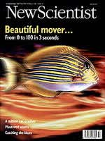 New Scientist issue 2099 cover