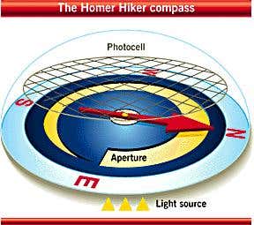 New Scientist. Science news and long reads from expert journalists, covering developments in science, technology, health and the environment on the website and the magazine.