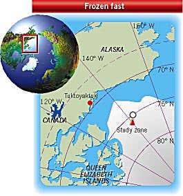 New Scientist. Science news and long reads from expert journalists, covering developments in science, technology, health and the environment on the website and the magazine.