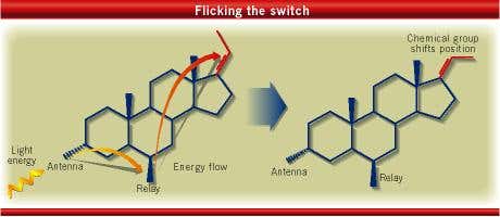 New Scientist. Science news and long reads from expert journalists, covering developments in science, technology, health and the environment on the website and the magazine.