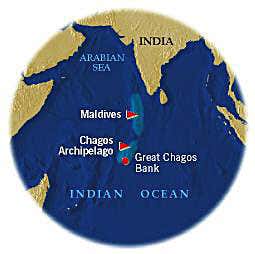 New Scientist. Science news and long reads from expert journalists, covering developments in science, technology, health and the environment on the website and the magazine.